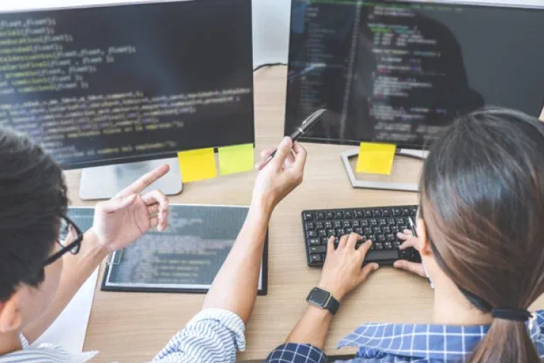 Developers reviewing website